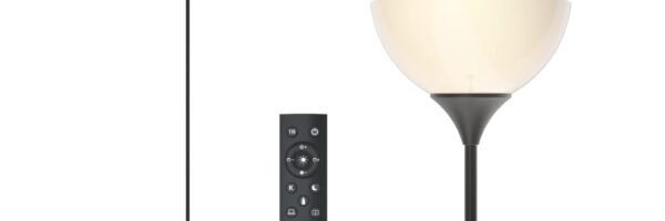 PESRAE Floor Lamp