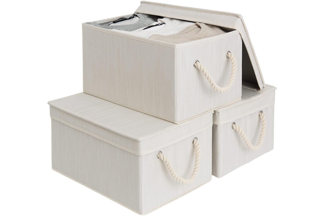 StorageWorks Storage Bins with Lids