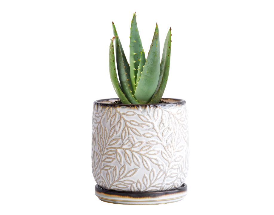 Dvine Dev Embossed Leaves Ceramic Planter