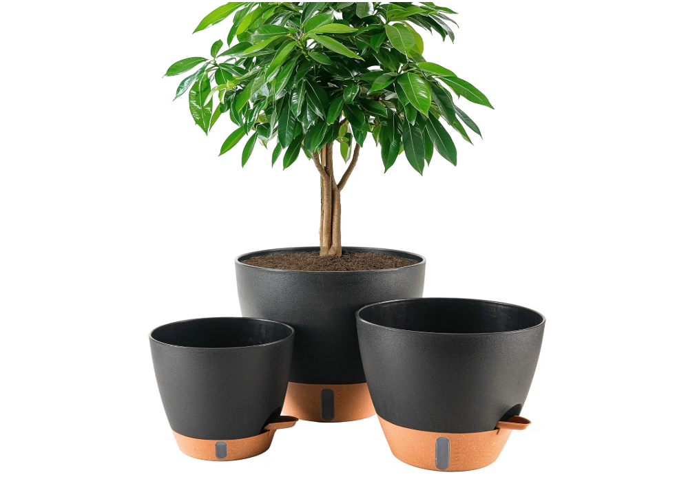 Fielda Large Plastic Planter