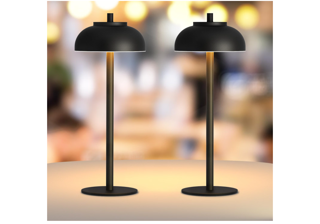 Moragin Cordless Table Lamps