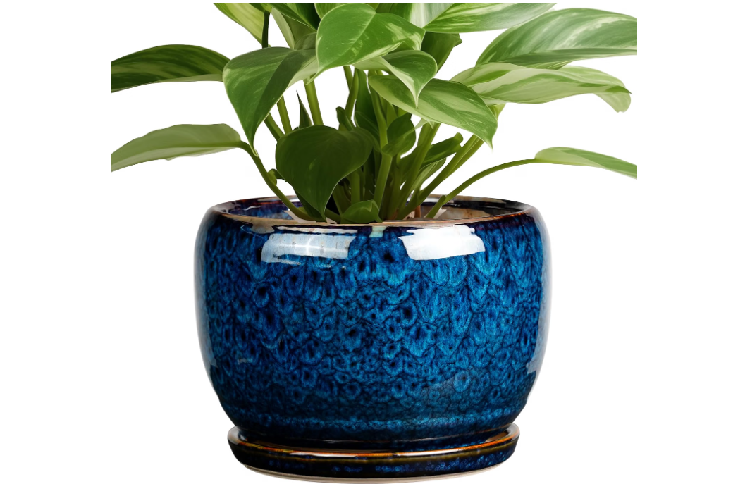 SQOWL Ceramic Planter