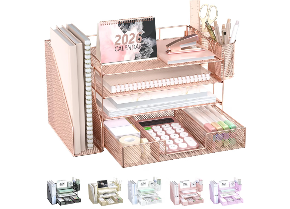WALI Desk File Organizer